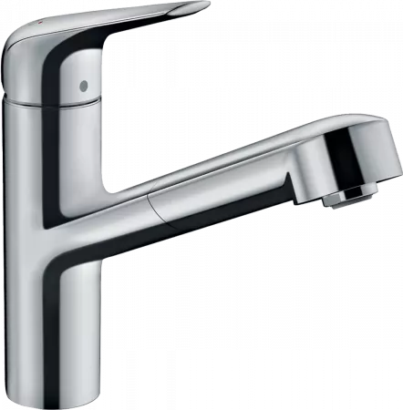 Смеситель Hansgrohe Focus 71829000 хром
